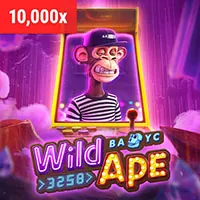 Hình ảnh đội ngũ và văn hóa doanh nghiệp của 33vin code