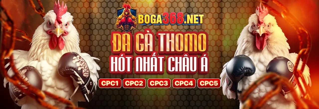 Đá Gà Trực Tuyến 33vin code