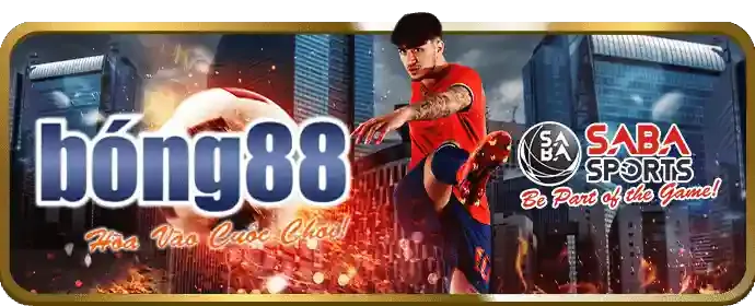 Cá cược thể thao đa dạng tại 33vin code